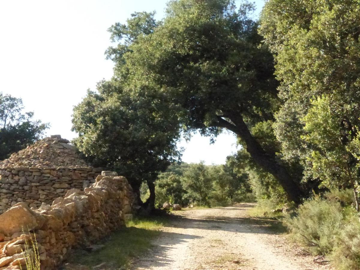 Villa Molino Dolz La Iglesuela del Cid Esterno foto